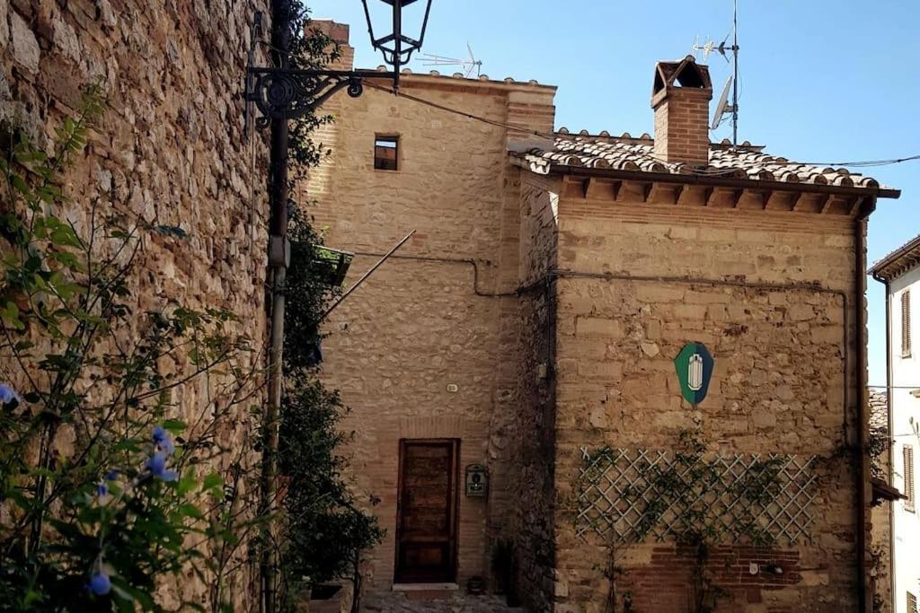 *La Torre Di Amelia* Nel Cuore Dell' Umbria エクステリア 写真